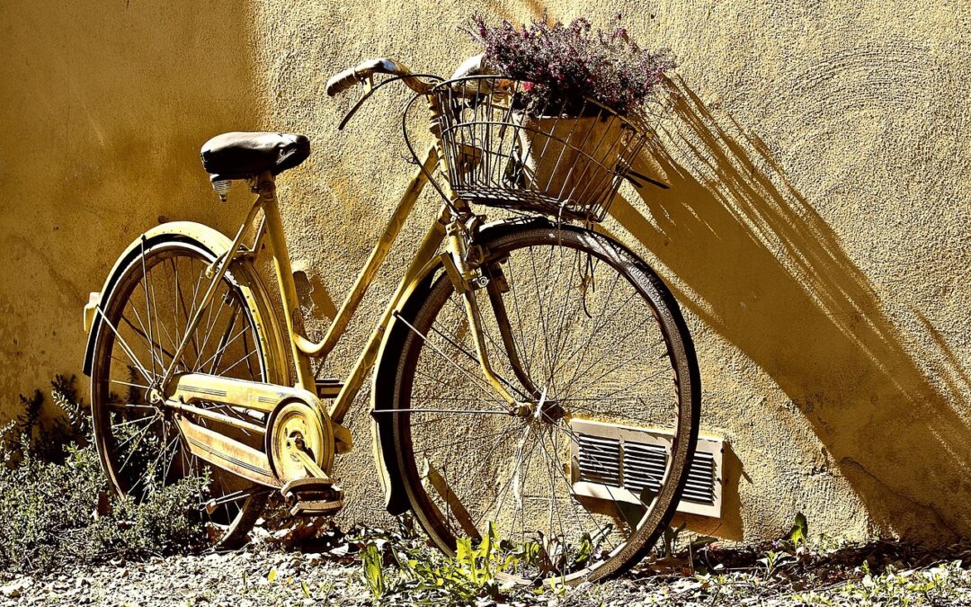 Cykelröjning Irisgatan 4-6